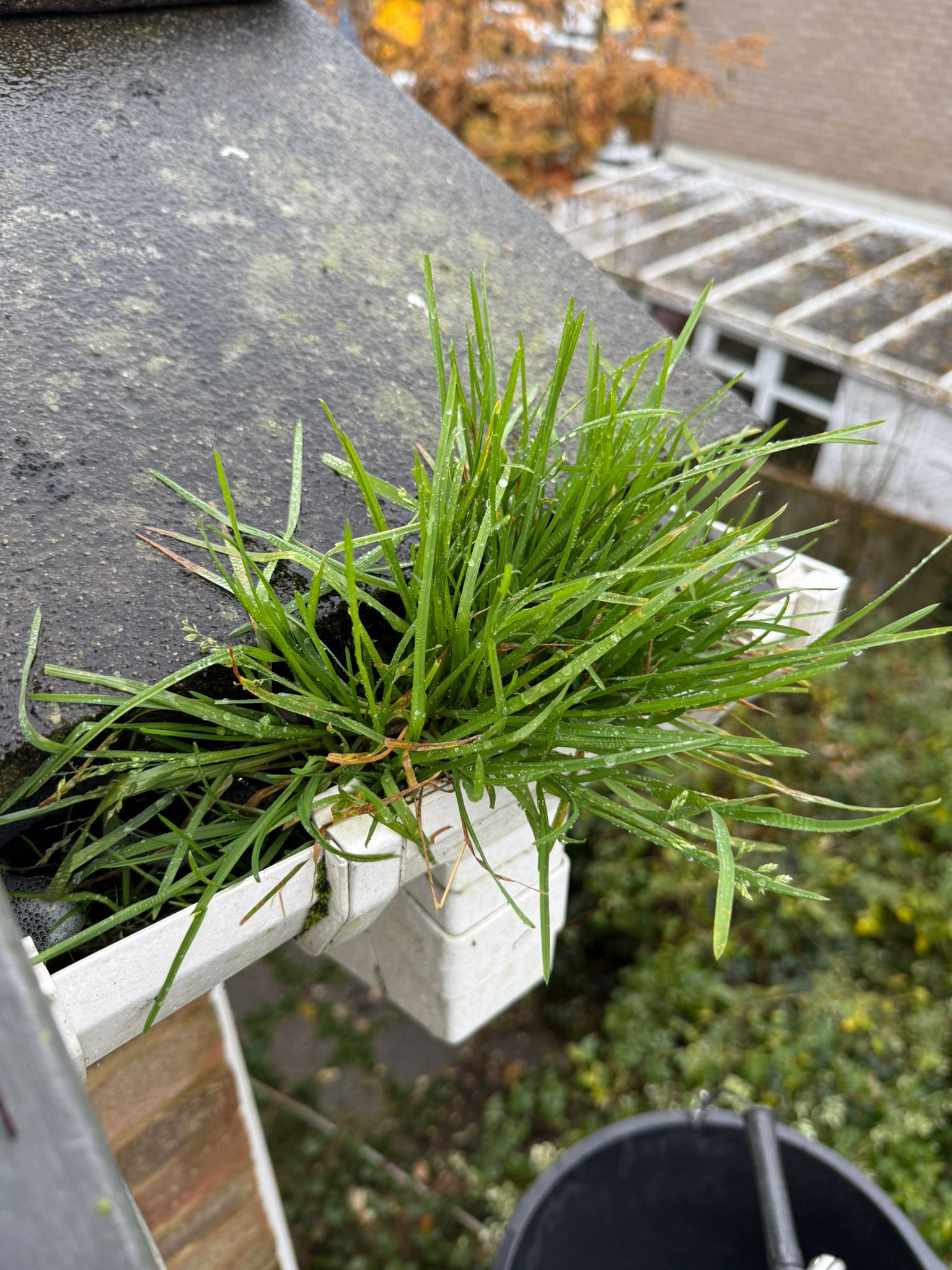 Blocked gutter downpipe in Redhill